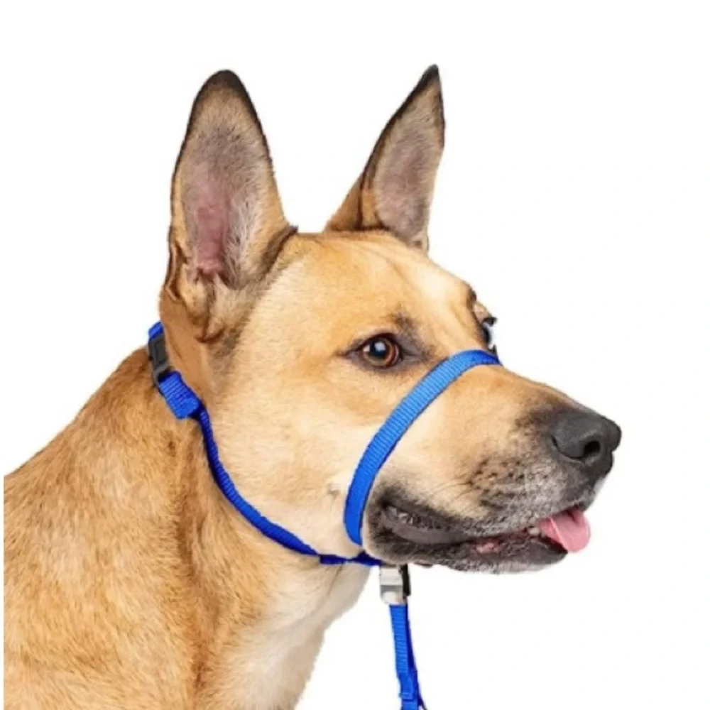 Gentle Leader Head Collar Blue Size Large ,Medium, Small